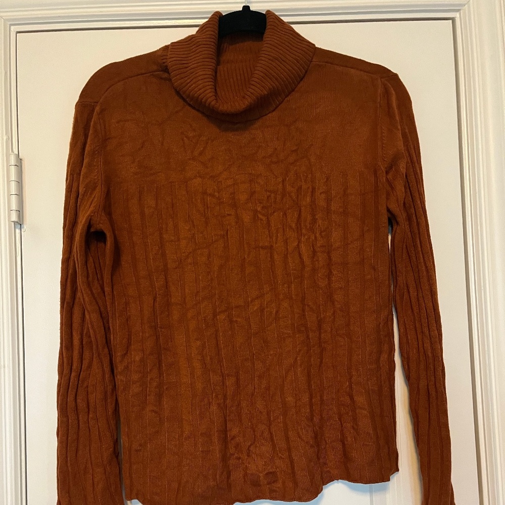 Nordstrom | Burnt Orange Turtle Neck Sweater